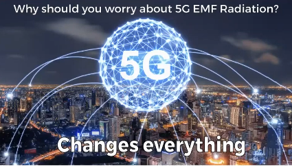 microdaily emf 5g protection